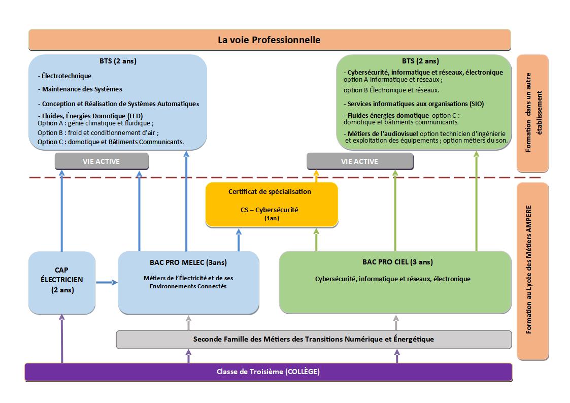 Organigramme des formations proposées au lycée Ampère ; exemples de poursuites d'études