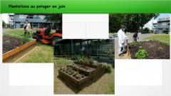 plantationPotager_11